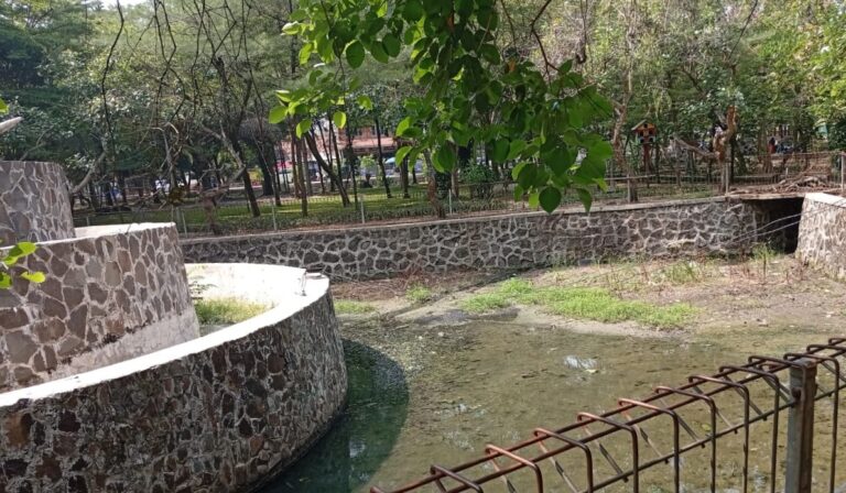 IMG-20250622-WA0002
