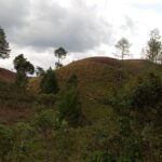 IMG-20251021-WA0012