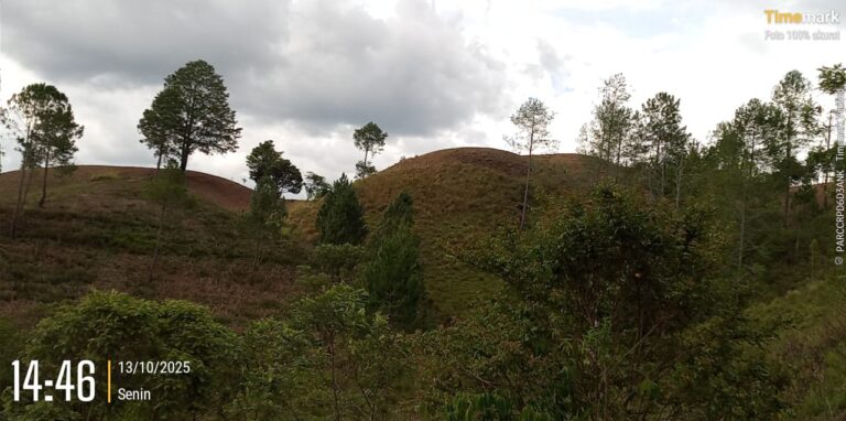 IMG-20251021-WA0012
