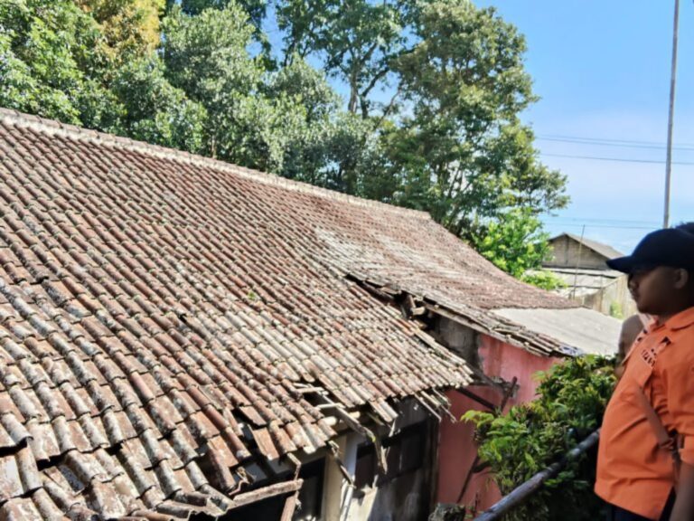 IMG-20251103-WA0005(1)