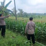 IMG-20260406-WA0000 (1)