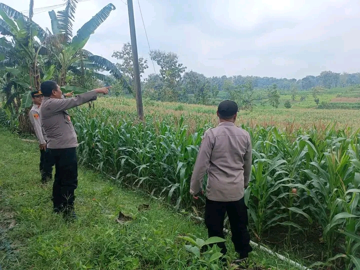 IMG-20260406-WA0000 (1)