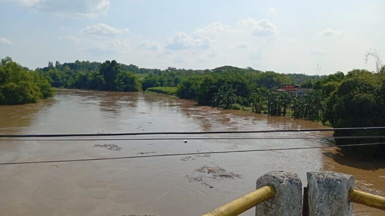 IMG-20260409-WA0005(1)