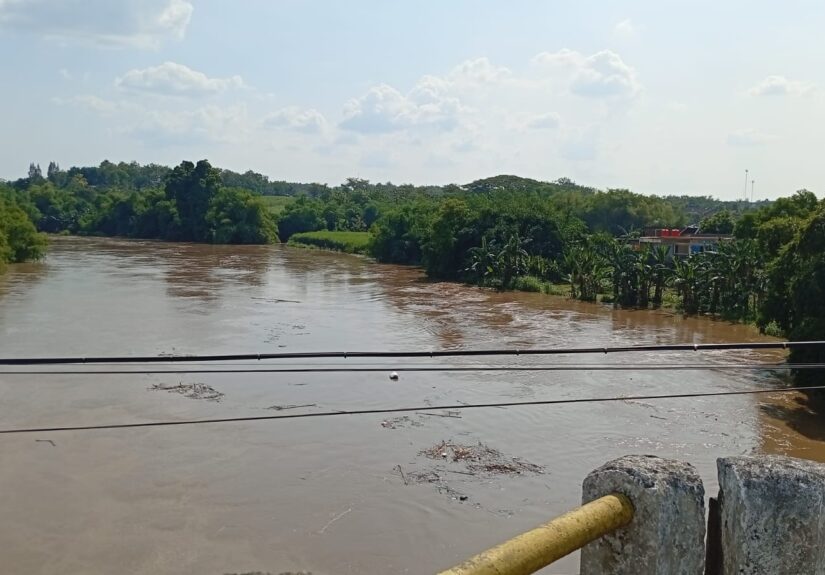 IMG-20260409-WA0005(1)