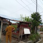 IMG-20260811-WA0003
