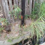 IMG-20260929-WA0006